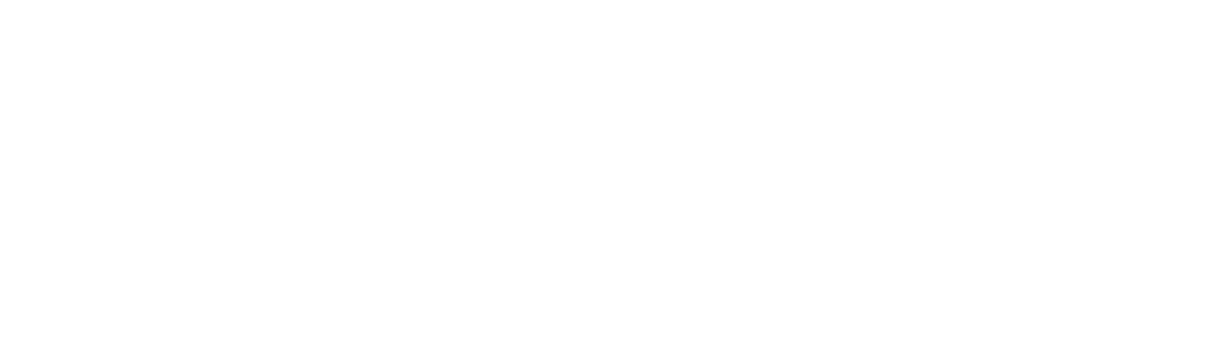 Dolphin Soluções em Engenharia